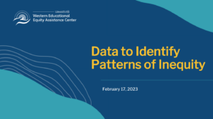 Preview icon of Data to Identify Patterns of Inequity webinar