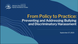 Preview icon of From Policy to Practice webinar