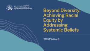 Preview icon for Beyond Diversity: Achieving Racial Equity