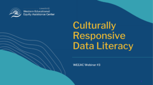 Preview Icon for Foundations of Culturally Responsive Data Literacy