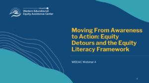 Preview Icon for Equity Detours & the Equity Literacy Framework